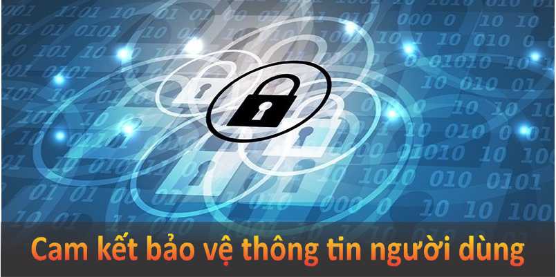 Cam kết bảo vệ thông tin người dùng