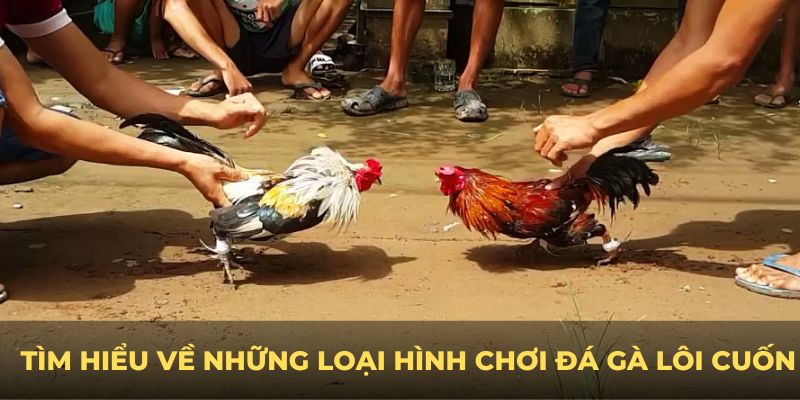 Tìm hiểu về những loại hình chơi đá gà lôi cuốn